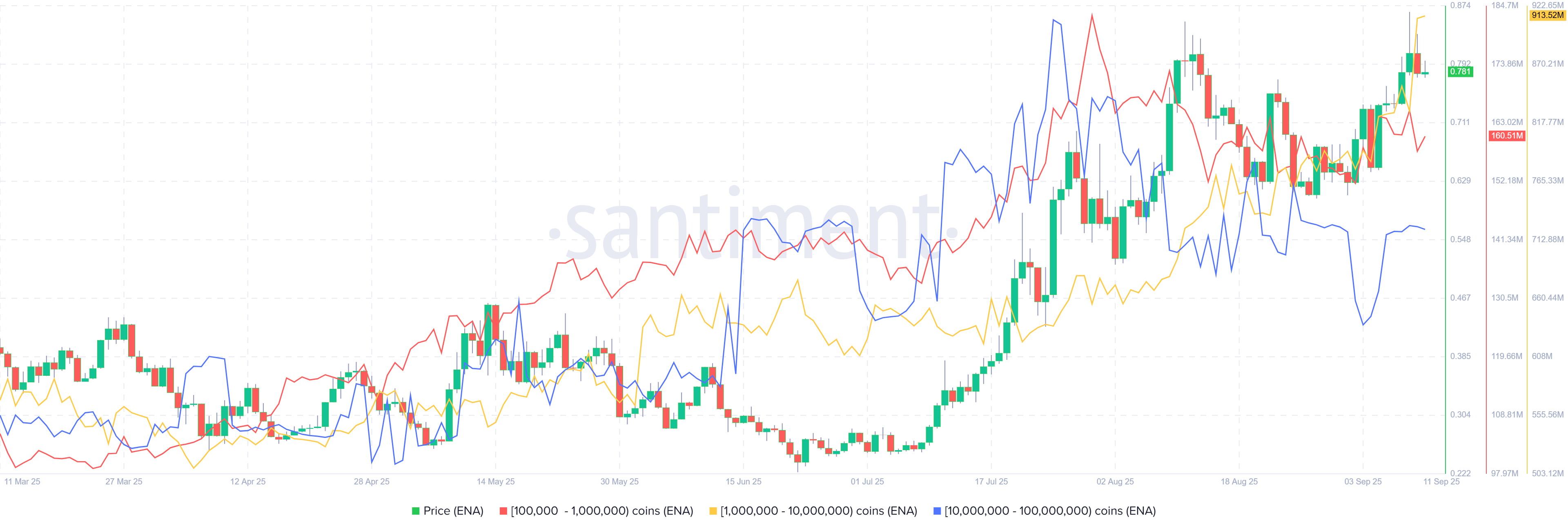 Gráfico de métrica de distribución de suministro de ENA. Fuente: Santiment